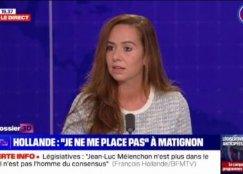 "Dans l'alliance [du Nouveau Front populaire], tout le monde a honte de tout le monde"