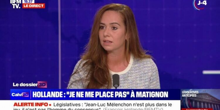 "Dans l'alliance [du Nouveau Front populaire], tout le monde a honte de tout le monde"