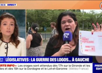 Alexis Corbière, Raquel Garrido: ces candidats qui utilisent le logo du Nouveau Front populaire sans être investis par un parti - BFMTV