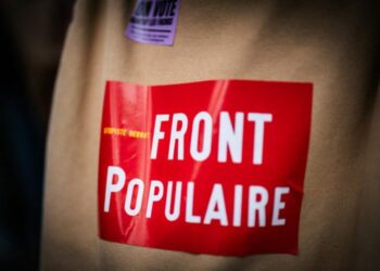 "Avec le Nouveau Front populaire, il est temps que l'Europe écologique soit à l’ordre du jour"