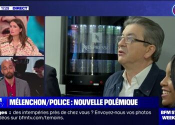 "Ce n'est pas ce que le Nouveau Front populaire dit", assure Guillaume Roubaud-Quashie, porte-parole du PCF-NFP