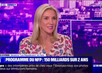 "Ce programme économique", du Nouveau Front populaire, "démontre à quel point c'est l'extrême gauche, c'est La France insoumise qui domine", affirme Agnès Evren (LR)