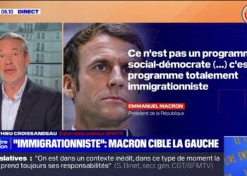 Emmanuel Macron dénonce le "programme totalement immigrationniste" du Nouveau Front populaire - BFMTV