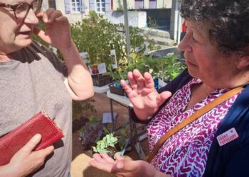 En Creuse, Catherine Couturier et le Nouveau Front populaire affichent l