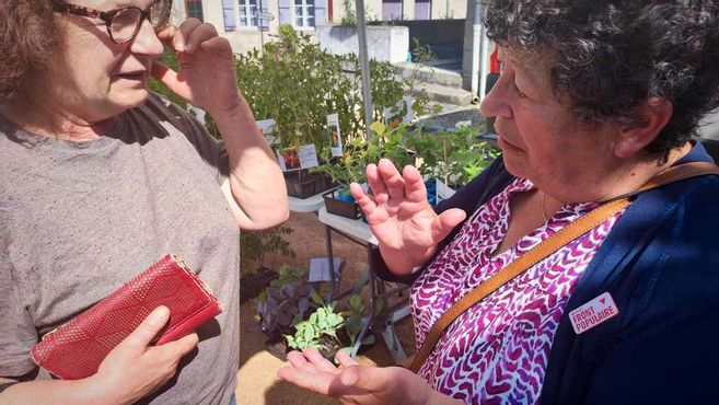 En Creuse, Catherine Couturier et le Nouveau Front populaire affichent l