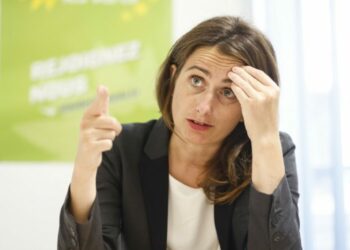 Interview. Marine Tondelier (Nouveau Front populaire) : "Le Rassemblement national fracture, ce sont des diviseurs"