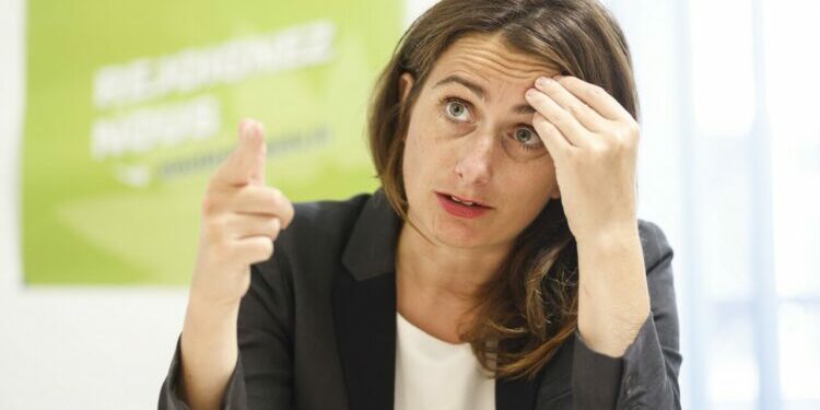 Interview. Marine Tondelier (Nouveau Front populaire) : "Le Rassemblement national fracture, ce sont des diviseurs"