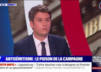"Je ne crois pas une seconde que les électeurs d'une gauche sociale-démocrate attachés aux valeurs de la République se retrouvent derrière cette alliance"