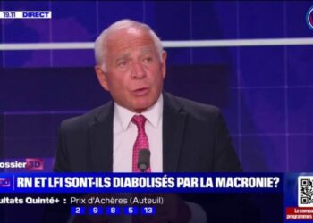 "L'attitude du pseudo Front populaire emmène des gens à voter RN", estime le sénateur François Patriat