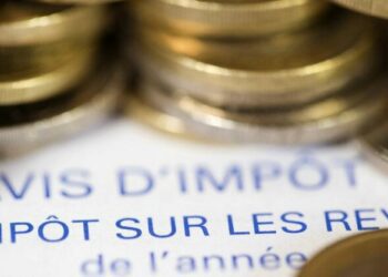 Le sujet des impôts et des taxes payés par les particuliers s'invite au coeur des programmes des trois principales forces en lice : le Rassemblement national (RN), le Nouveau Front populaire (NFP) et la majorité présidentielle (Ensemble pour la République).