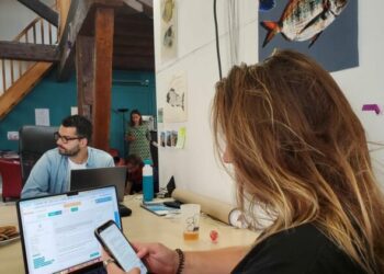 Législatives : à Marseille, le Nouveau Front populaire mobilise une réserve citoyenne pour une campagne de "phoning"