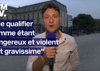 L'interview de Raphaël Arnault, candidat du "Nouveau Front populaire" dans le Vaucluse et porte-parole de la Jeune Garde antifasciste