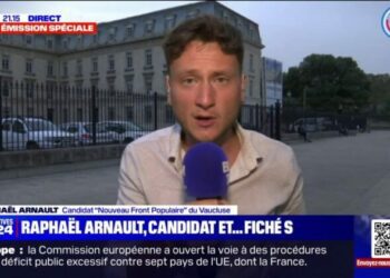 "Me qualifier comme étant dangereux et violent est gravissime", assure Raphaël Arnault (candidat "Nouveau Front populaire" du Vaucluse et porte-parole de la Jeune Garde antifasciste) Voir plus Voir moins