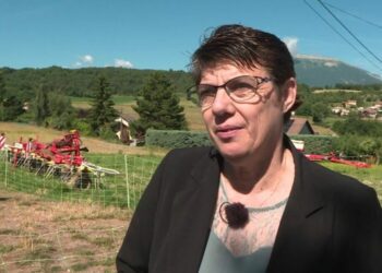 "C'est un changement radical", une éleveuse de brebis devenue députée du Nouveau Front populaire dans les Haute-Alpes