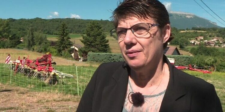 "C'est un changement radical", une éleveuse de brebis devenue députée du Nouveau Front populaire dans les Haute-Alpes