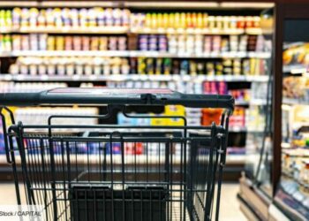 ce que l’alimentaire pense de cette mesure du Nouveau Front populaire
