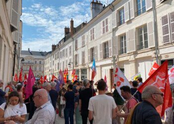 &Agrave; Orl&eacute;ans, des manifestants demandent le respect "du processus d&eacute;mocratique"