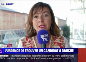 Carole Delga appelle à "travailler à un contrat de gouvernement largement inspiré du programme du Nouveau Front populaire"