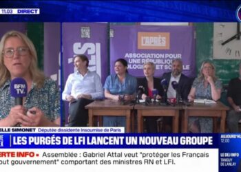 Danielle Simonet s'exprime sur la création du mouvement "L'Après"
