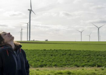 Ecologie : ce qu’il faudra clarifier dans le programme du Nouveau Front populaire