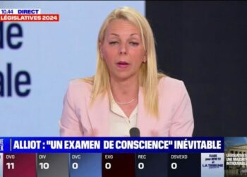 Edwige Diaz (RN) pense que le Nouveau Front populaire "ne tiendra pas" - BFMTV