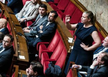 LFI saisit le Conseil constitutionnel pour contester le vote des 17 députés ministres démissionnaires