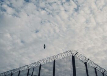 Le programme du Nouveau Front populaire prévoit-il la libération de milliers de prisonniers ? – Libération
