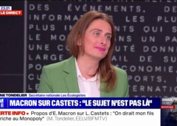 Lucie Castets choisie par le NFP: "Ce nom va être défendu par le Nouveau Front populaire", affirme Marine Tondelier (Les Écologistes) - BFMTV