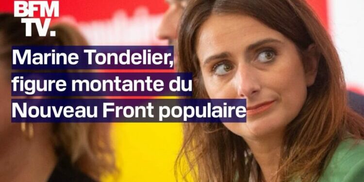Marine Tondelier, figure montante du Nouveau Front populaire