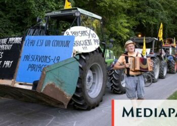 Mégabassines : la mobilisation reprend, avec le soutien du Nouveau Front populaire