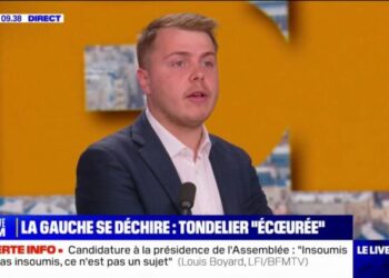 Nouveau Front populaire: "On ne trahira pas le programme!" assure Louis Boyard - BFMTV