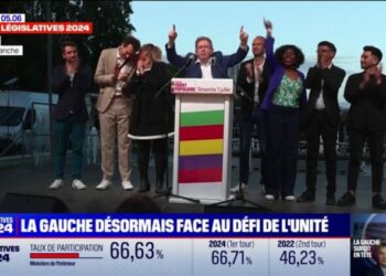 après la victoire du Nouveau Front populaire, la gauche face au défi de l'unité