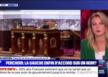 pour Céline Hervieu (PS), le Nouveau Front populaire "va pouvoir trouver un consensus relativement rapidement" sur une candidature unique